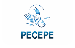 pecepe.pe